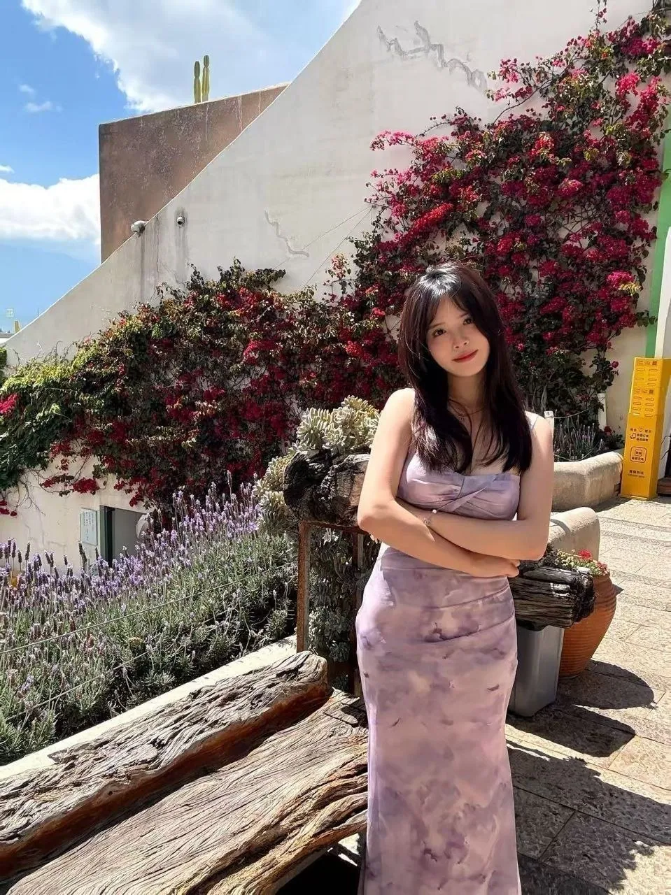 可可抓龙筋 的照片 2