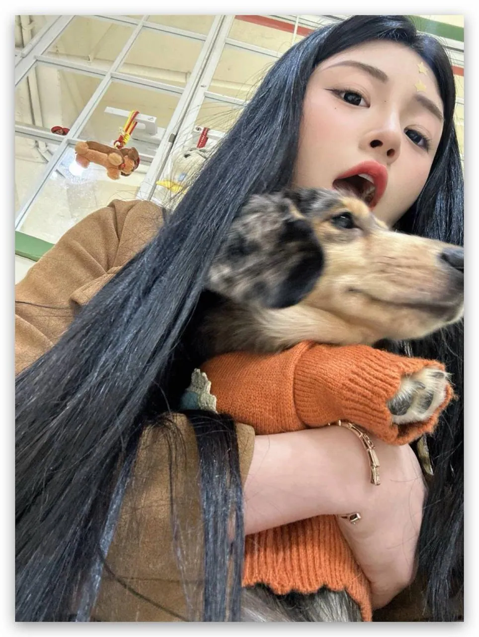 洋洋 的照片 1