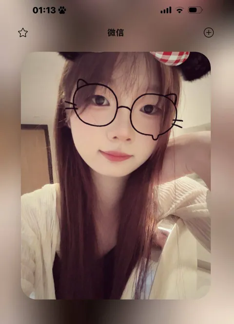 猫猫