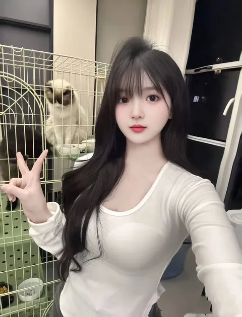 乐乐