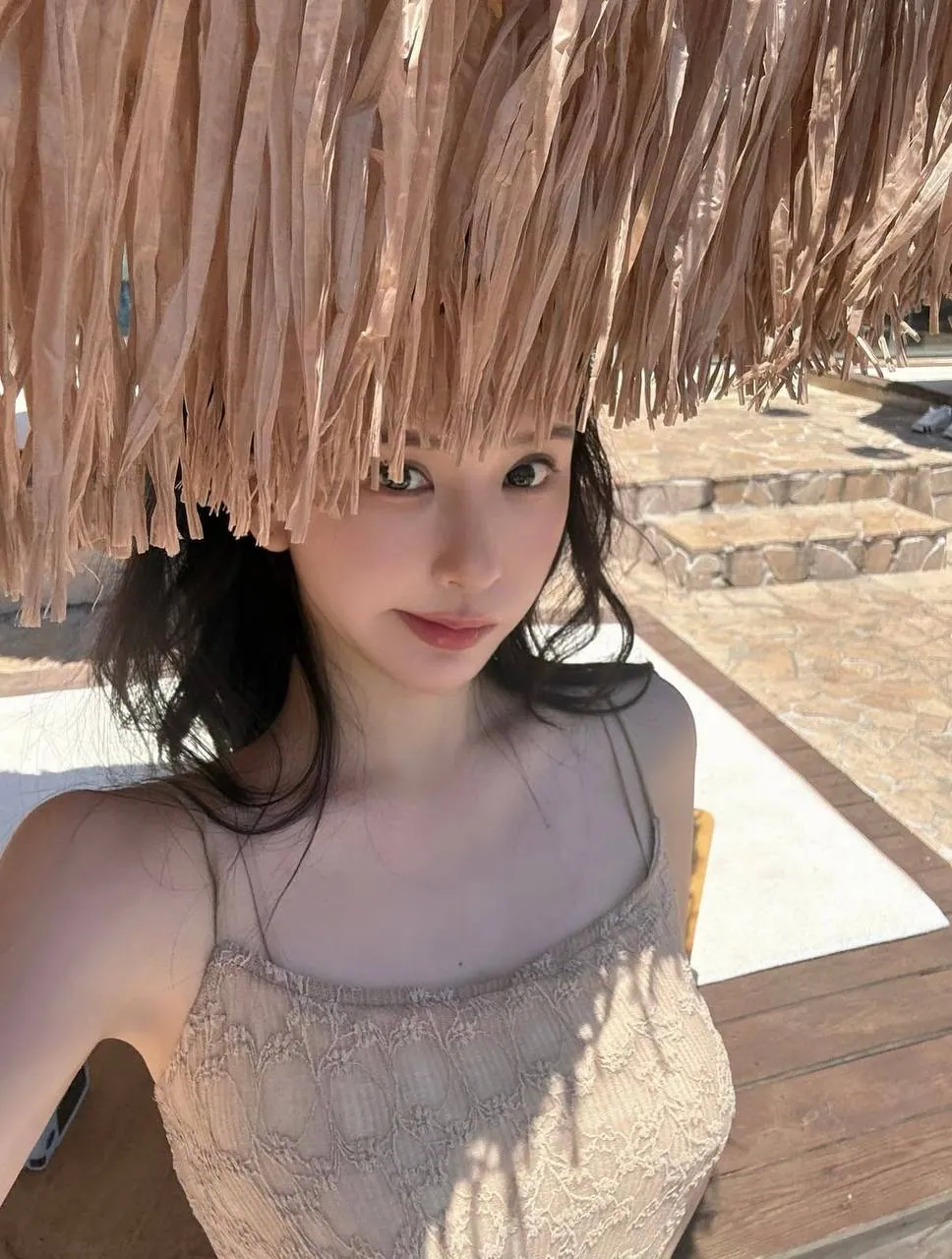 玫瑰（可外出） 的照片 3